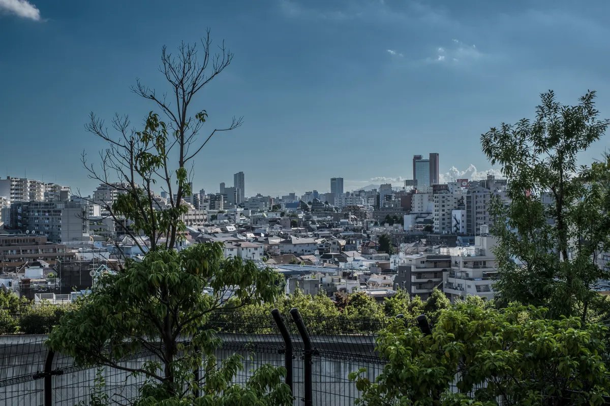 🌳 메구로 하늘 정원 (메구로 텐쿠 테이엔) 이미지 5